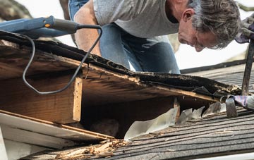 common causes of Great Cellws fascia damage