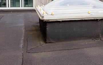 disadvantages of Great Cellws flat roofs