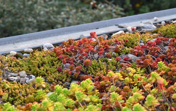 the cost of Great Cellws green roof installation