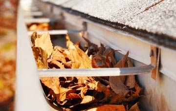 Great Cellws gutter cleaning companies