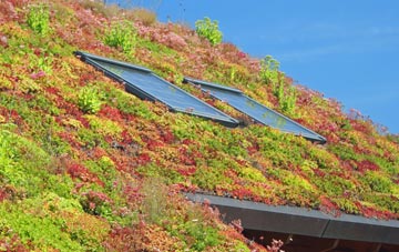 Great Cellws living roof systems