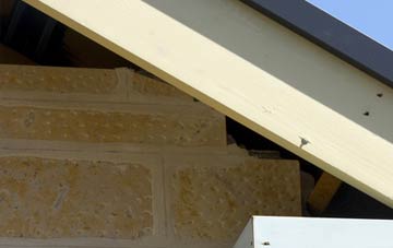 soffit repair Great Cellws