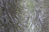 Great Cellws fibreglass roof work